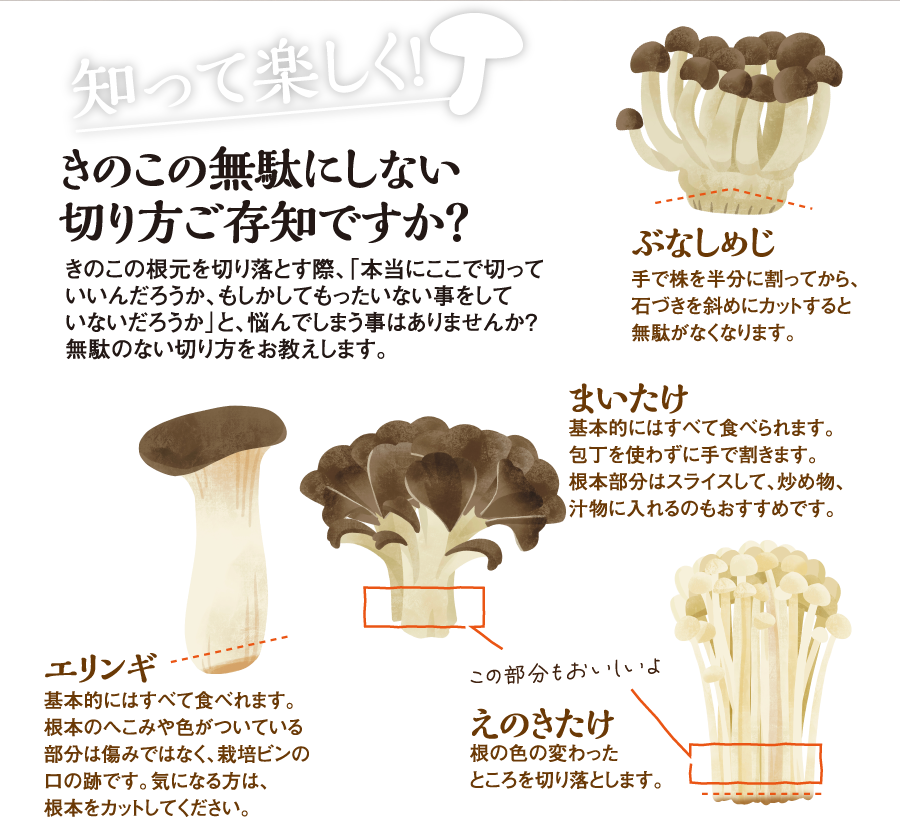 “きのこの無駄にしない切り方ご存知ですか？”