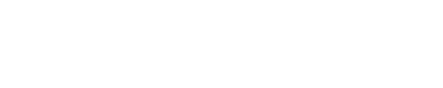 調理が簡単！焼けばうま味がたっぷりのきのこはキャンプなどアウトドア料理に大活躍！