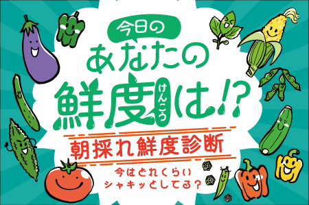 今日のあなたはシャキシャキ？朝採れ度診断
